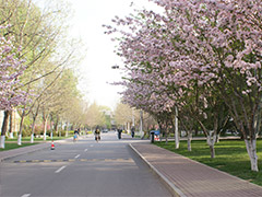中国科学院大学外语系简介